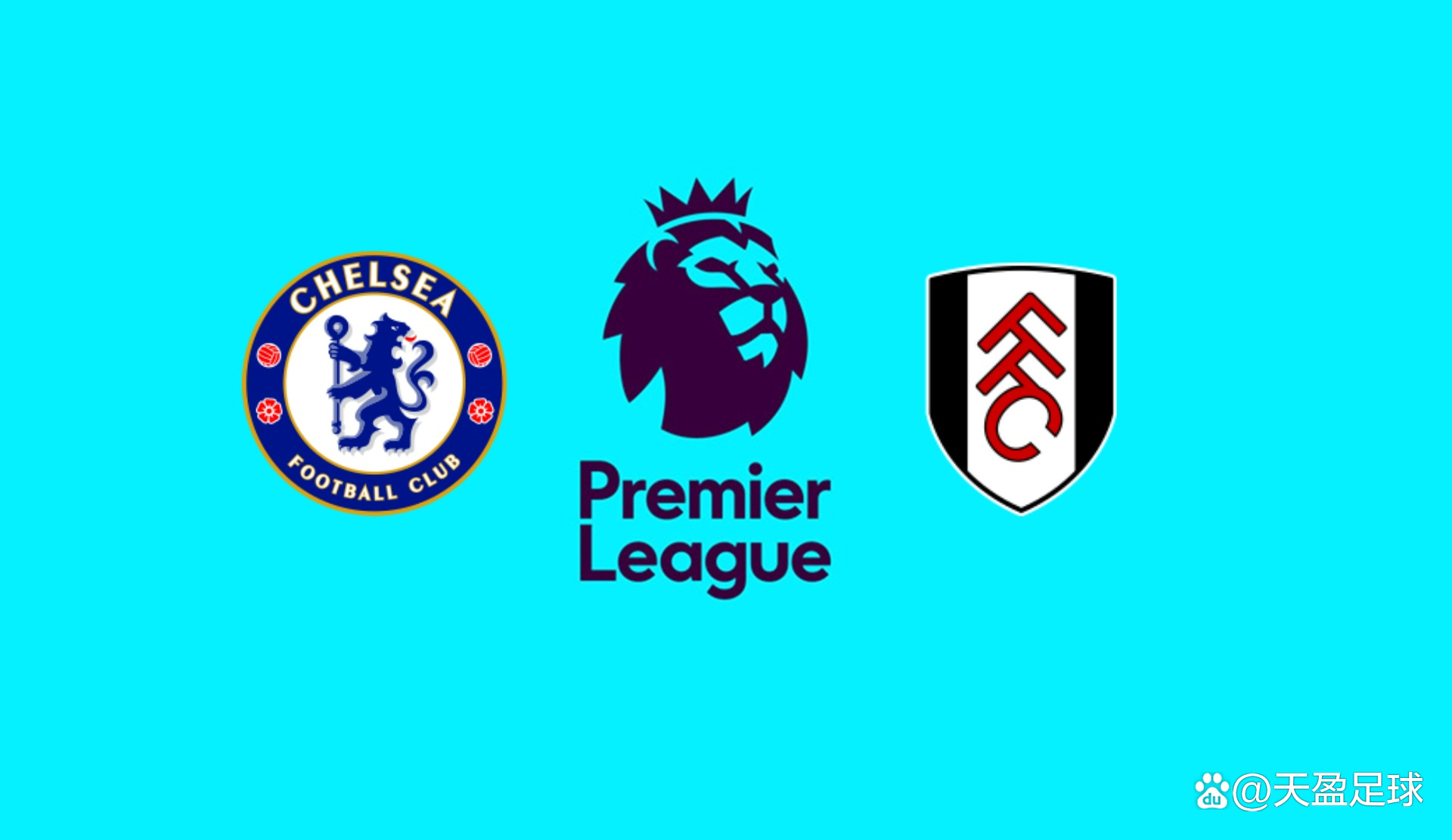 养乐多监督高津臣吾将于季后卸任 曾率燕子军夺下日本一｜日职